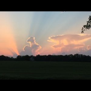 Meet your Posher, Martha